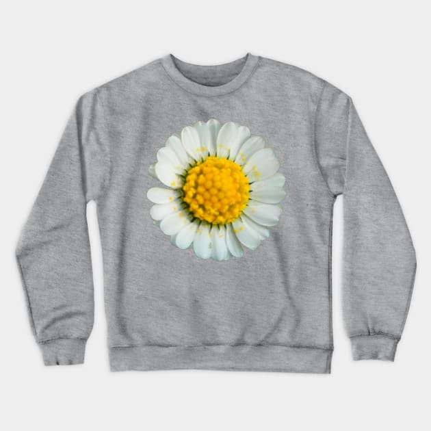 Big daisy Crewneck Sweatshirt by ghjura